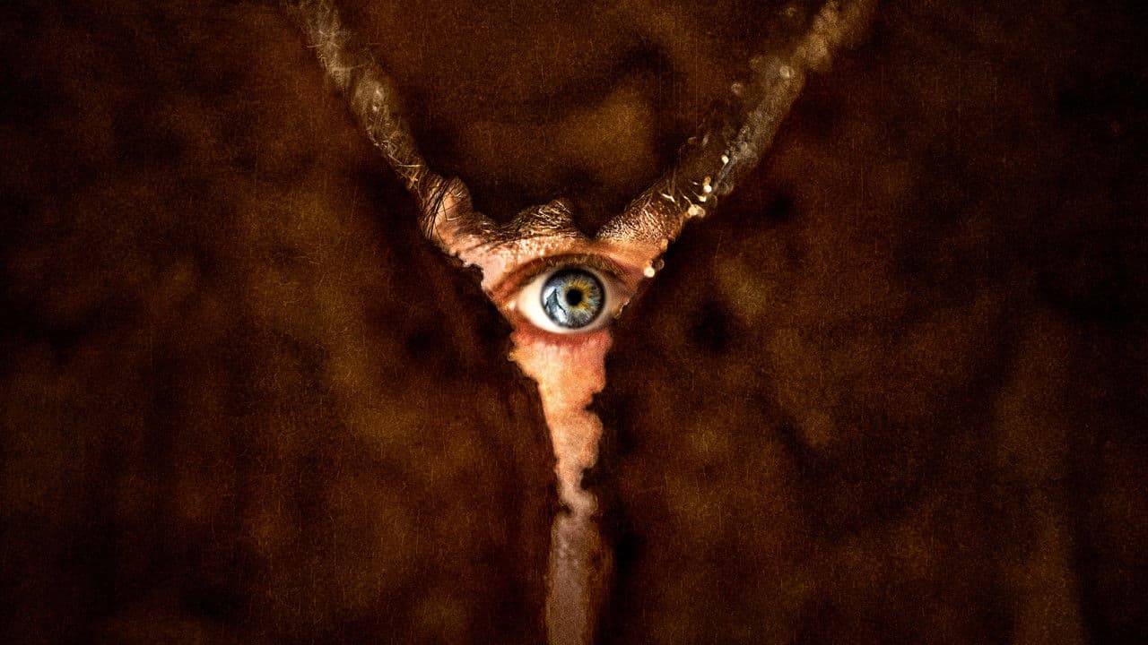 Retour à Silent Hill